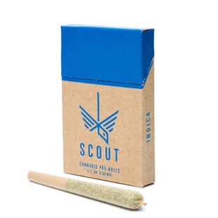 Buy thc online: Buy Indica Pre-Rolls (Scout)|Indica Pre-Rolls (Scout)