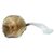 Buy Koh Samui Mushrooms online |Koh Samui Mushrooms