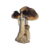 Buy South American Magic Mushrooms||