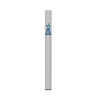 Buy Disposable CBD Pen – Blueberry (Big toKe)