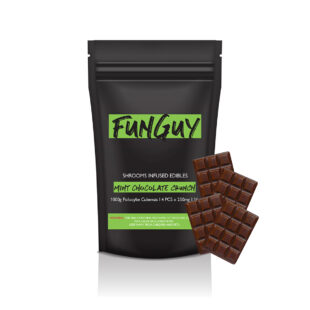 Buy FunGuy – Mint Chocolate|FunGuy – Mint Chocolate|FunGuy – Mint Chocolate