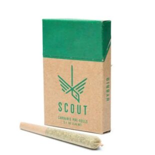 Buy thc online: Buy Hybrid Pre-Rolls (Scout)|Hybrid Pre-Rolls (Scout)