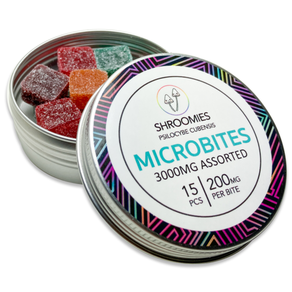Buy Shroomies – Microdose Bites|Room 920 – Skeleton Skull Chocolates