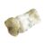 Buy Yeti Mushrooms|Yeti Mushrooms